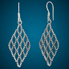 Adorable Fancy Silver Earrings