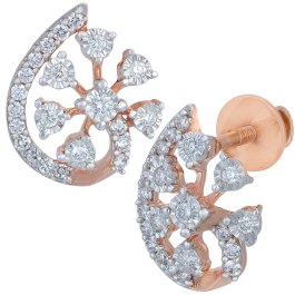 Royal Fascinating Floral Diamond Earrings