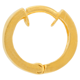 Elegant Hoops Gold Earrings